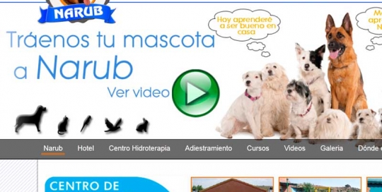 Diseño y posiconamiento web Escuela Canina Narub. Zoom Digital agencia de marketing online y posicionamiento web. Madrid