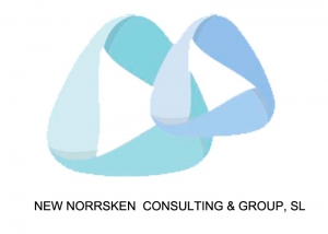 Logo NEW NORRSKEN CONSULTING & GROUP, SL ALBIA. Zoom Digital agencia de marketing online
